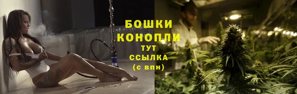 стаф Мегион