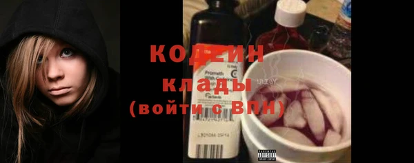 твердый Сясьстрой
