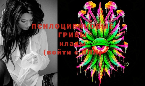 стаф Мегион