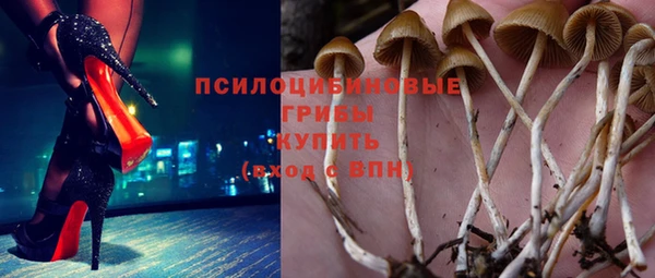 jwh Медногорск
