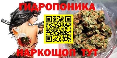 прущий лед Вышний Волочёк