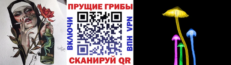 купить наркоту  Радужный  Псилоцибиновые грибы GOLDEN TEACHER 